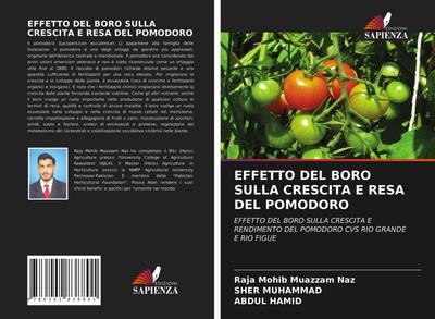 EFFETTO DEL BORO SULLA CRESCITA E RESA DEL POMODORO