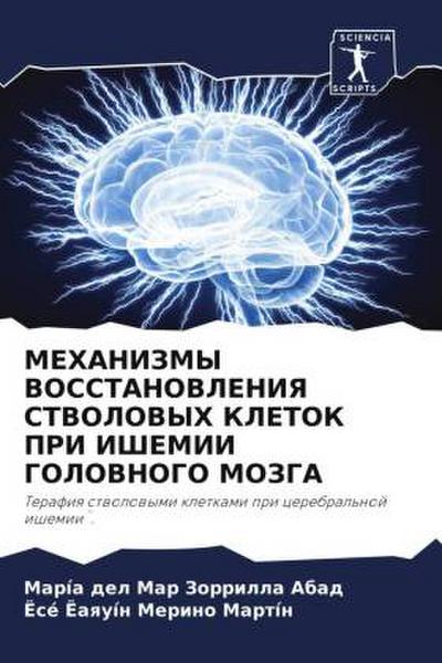 MEHANIZMY VOSSTANOVLENIYa STVOLOVYH KLETOK PRI IShEMII GOLOVNOGO MOZGA