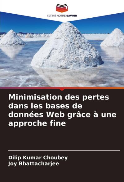 Minimisation des pertes dans les bases de données Web grâce à une approche fine