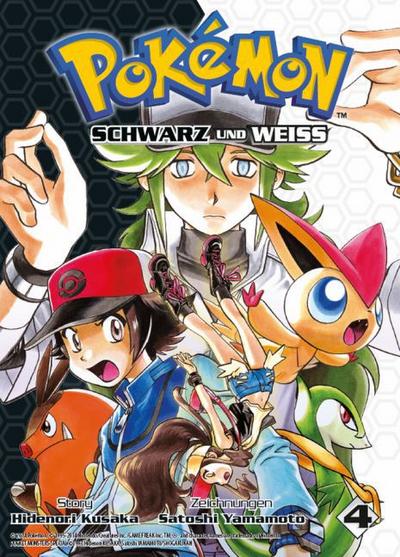 Pokémon Schwarz und Weiss 4