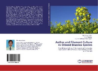 Anther and Filament Culture in Oilseed Brassica Species