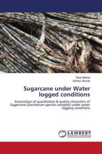 Sugarcane under Water logged conditions