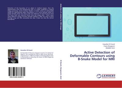Active Detection of Deformable Contours using B-Snake Model for MRI