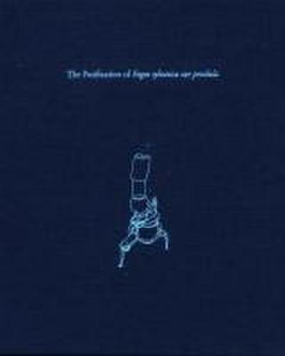 Paul Etienne Lincoln: The Purification of Fagus Sylvatica Var Pendula