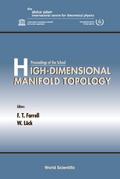 HIGH-DIMENSIONAL MANIFOLD TOPOLOGY