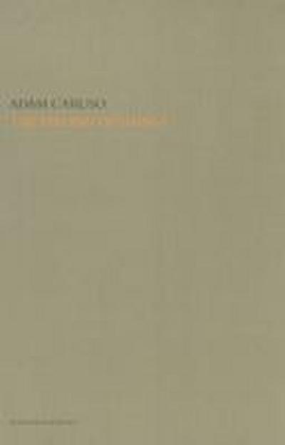 The Feeling of Things by Adam Caruso