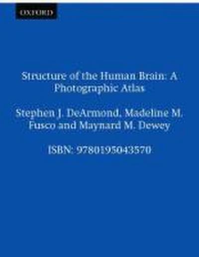 Structure of the Human Brain
