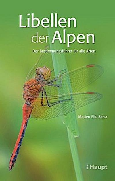 Libellen der Alpen