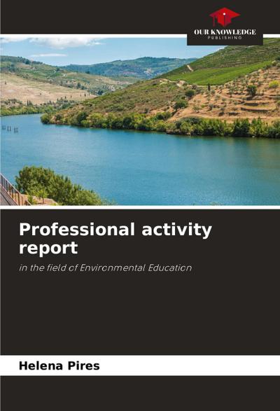 Professional activity report