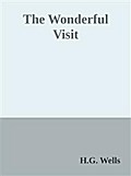 The Wonderful Visit