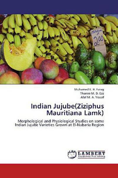 Indian Jujube(Ziziphus Mauritiana Lamk)