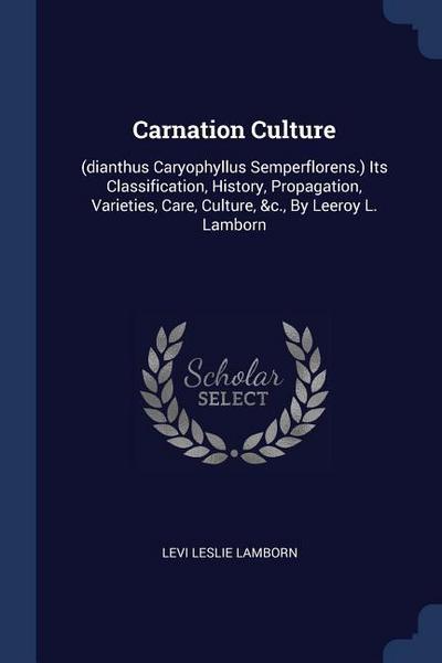 Carnation Culture