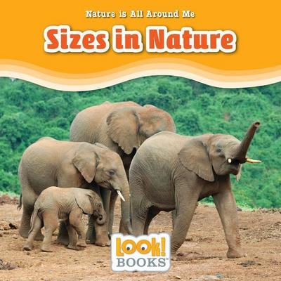 Sizes in Nature
