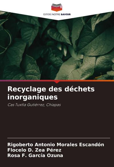 Recyclage des déchets inorganiques