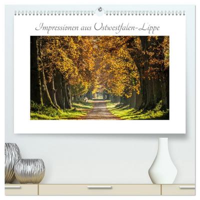 Impressionen aus Ostwestfalen-Lippe (hochwertiger Premium Wandkalender 2026 DIN A2 quer), Kunstdruck in Hochglanz