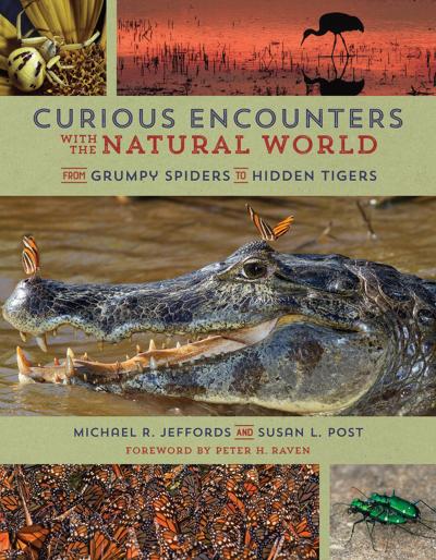 Curious Encounters with the Natural World