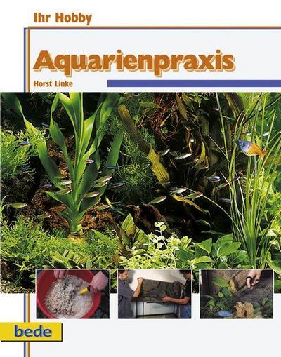 Aquarienpraxis