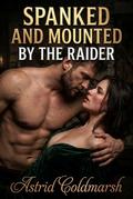 Spanked And Mounted By The Raider