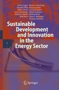 Sustainable Development and Innovation in the Ener