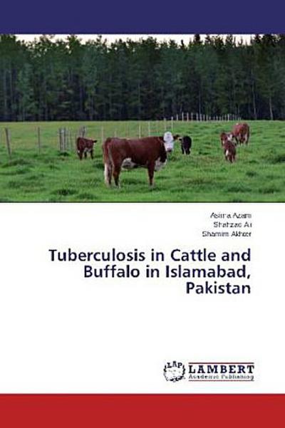 Tuberculosis in Cattle and Buffalo in Islamabad, Pakistan