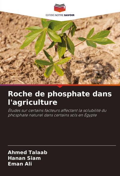Roche de phosphate dans l’agriculture
