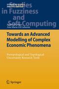 Towards an Advanced Modelling of Complex Economic Phenomena