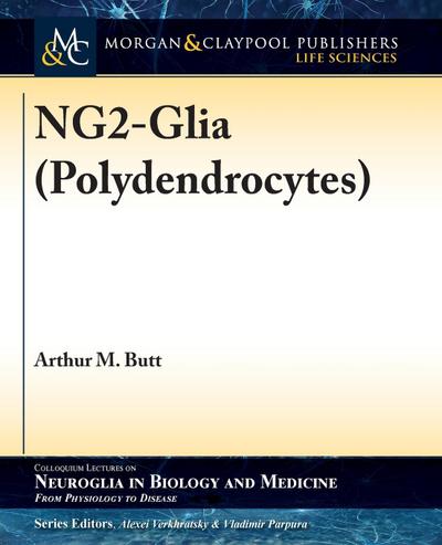 NG2-Glia (Polydendrocytes)