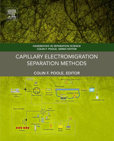 Capillary Electromigration Separation Methods