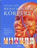 Atlas des menschlichen Körpers