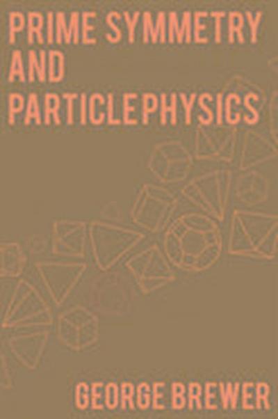 Prime Symmetry and Particle Physics