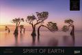 Spirit of Earth 2026 von  | sonst. Bücher