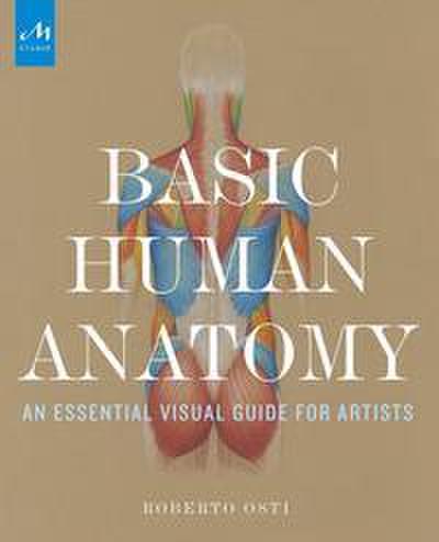 Basic Human Anatomy