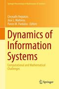 Dynamics of Information Systems - Chrysafis Vogiatzis