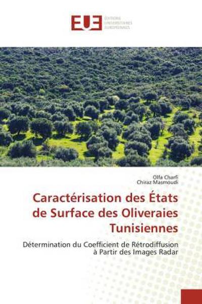 Caractérisation des États de Surface des Oliveraies Tunisiennes