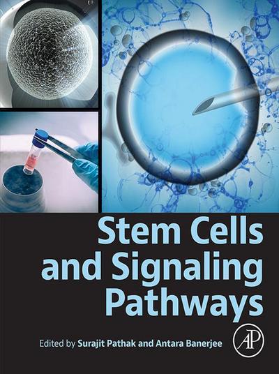 Stem Cells and Signaling Pathways