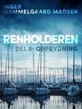 Renholderen 6: Opprydning