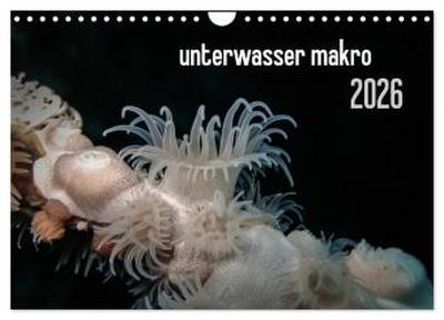 unterwasser makro 2026 (Wandkalender 2026 DIN A4 quer), CALVENDO Monatskalender