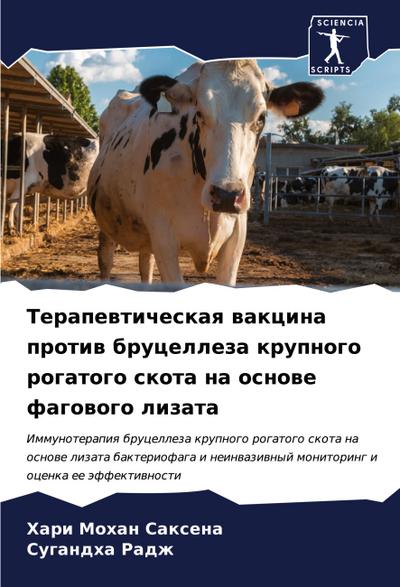 Terapewticheskaq wakcina protiw brucelleza krupnogo rogatogo skota na osnowe fagowogo lizata