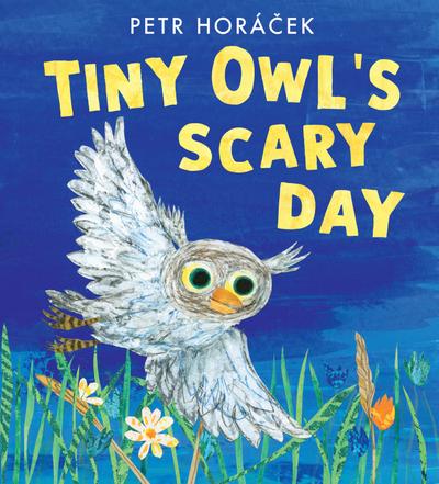 Tiny Owl’s Scary Day