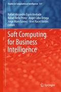 Soft Computing for Business Intelligence
