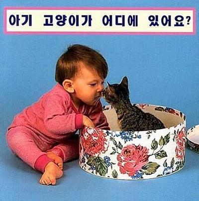 Where’s The Kitten?