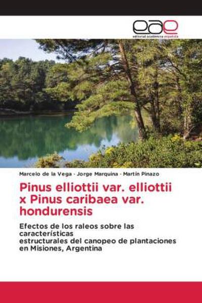 Pinus elliottii var. elliottii x Pinus caribaea var. hondurensis
