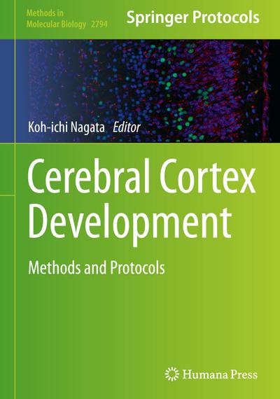 Cerebral Cortex Development