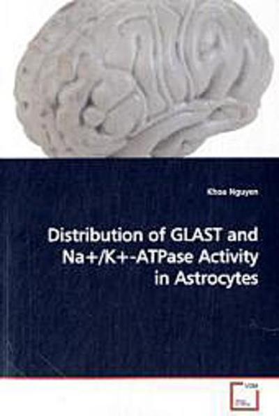 Distribution of GLAST and Na+/K+-ATPase Activity in Astrocytes