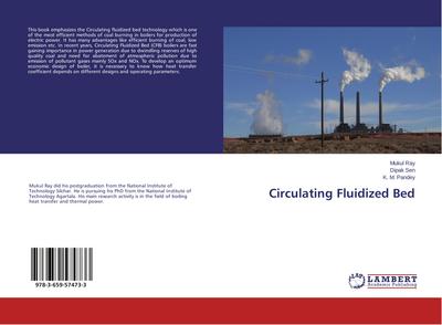 Circulating Fluidized Bed