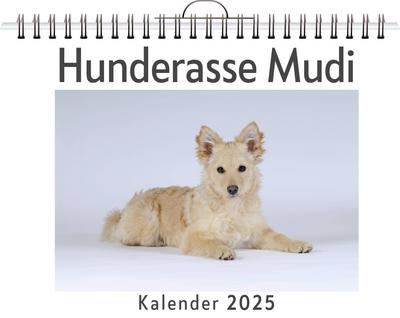 Hunderasse Mudi