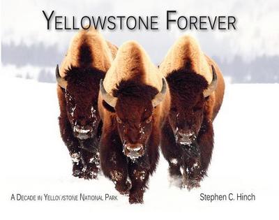 Yellowstone Forever