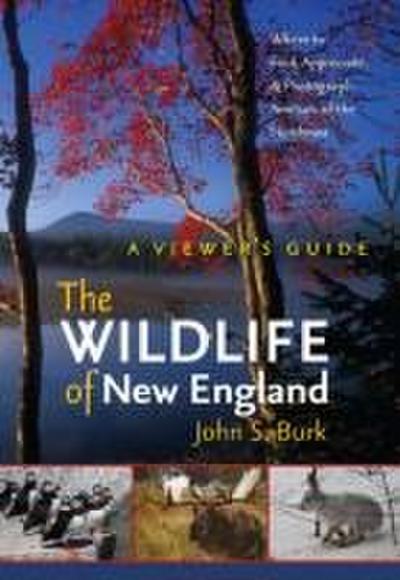 The Wildlife of New England: A Viewer’s Guide