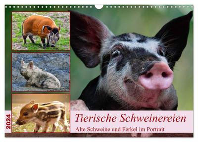 Tierische Schweinereien (Wandkalender 2024 DIN A3 quer), CALVENDO Monatskalender