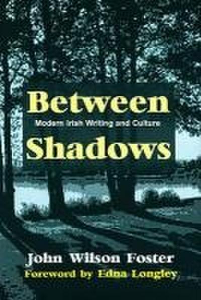 Between Shadows: Modern Irish Writing and Culture